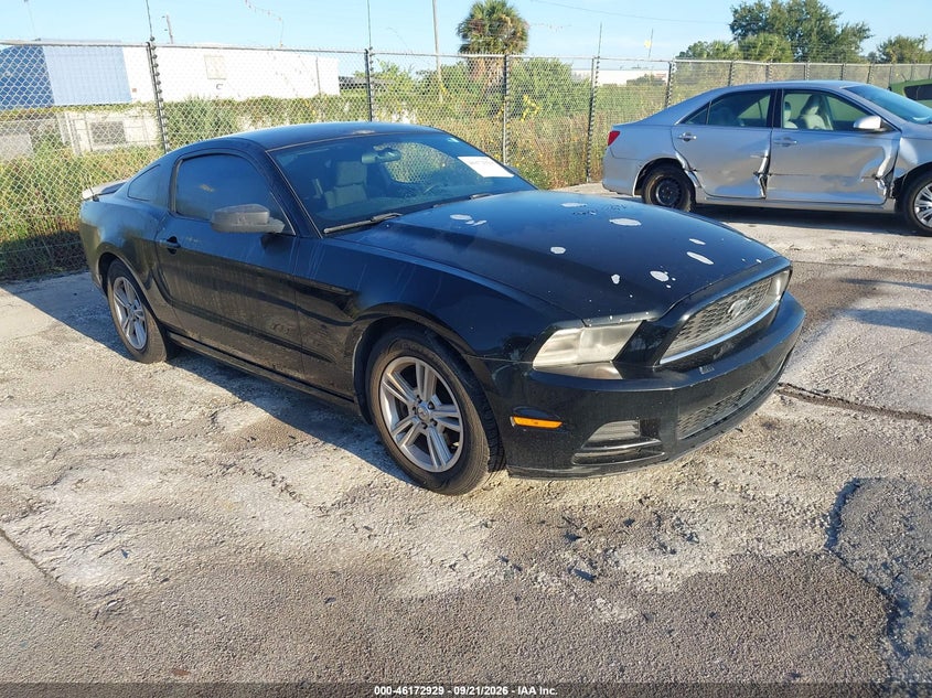 Photo of the 2013 FORD MUSTANG V6
