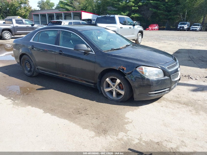 Photo of the 2011 CHEVROLET MALIBU 1LT