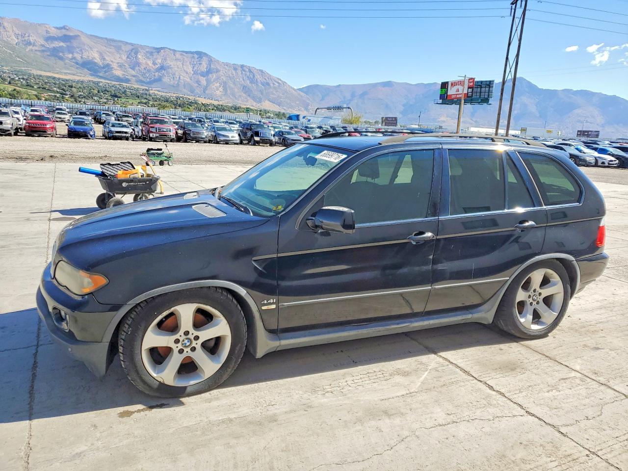 Photo of the 2006 BMW X5 4.4I