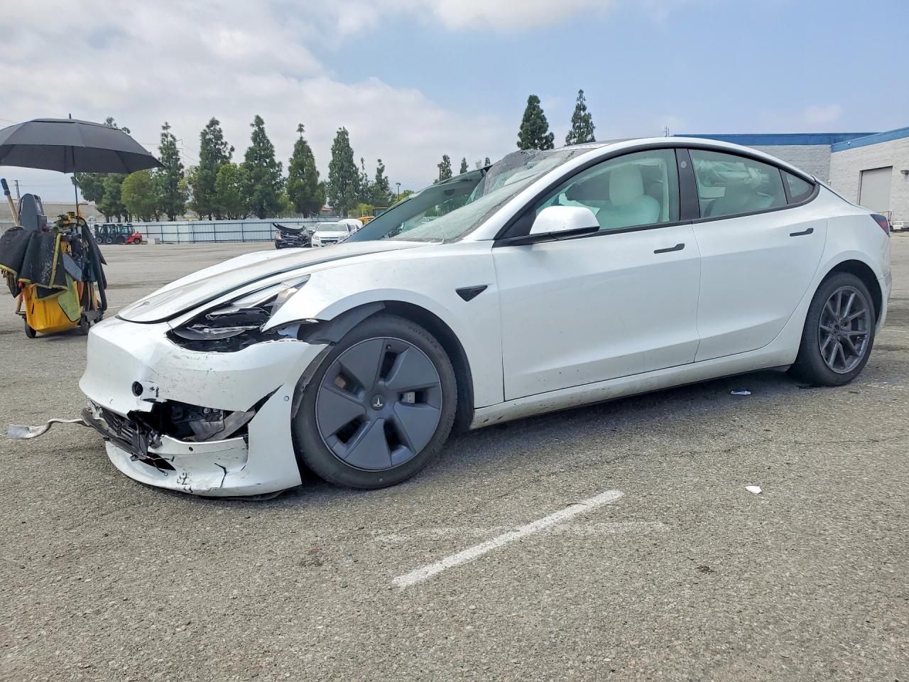 Photo of the 2022 TESLA MODEL 3