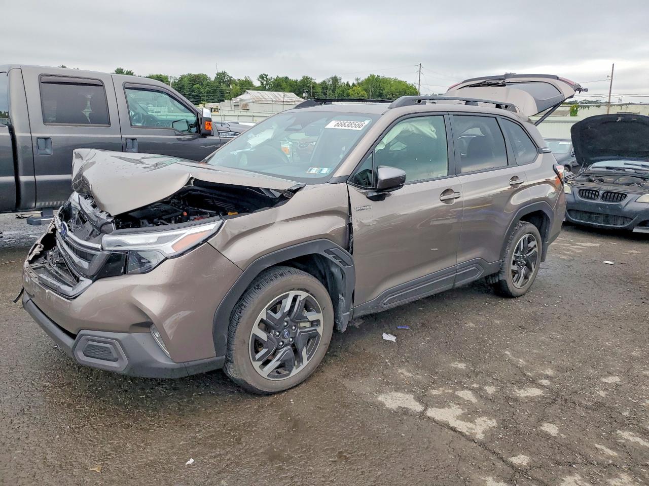 Photo of the 2025 SUBARU FORESTER LIMITED