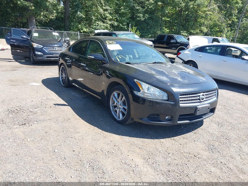 Photo of the 2010 NISSAN MAXIMA 3.5 SV