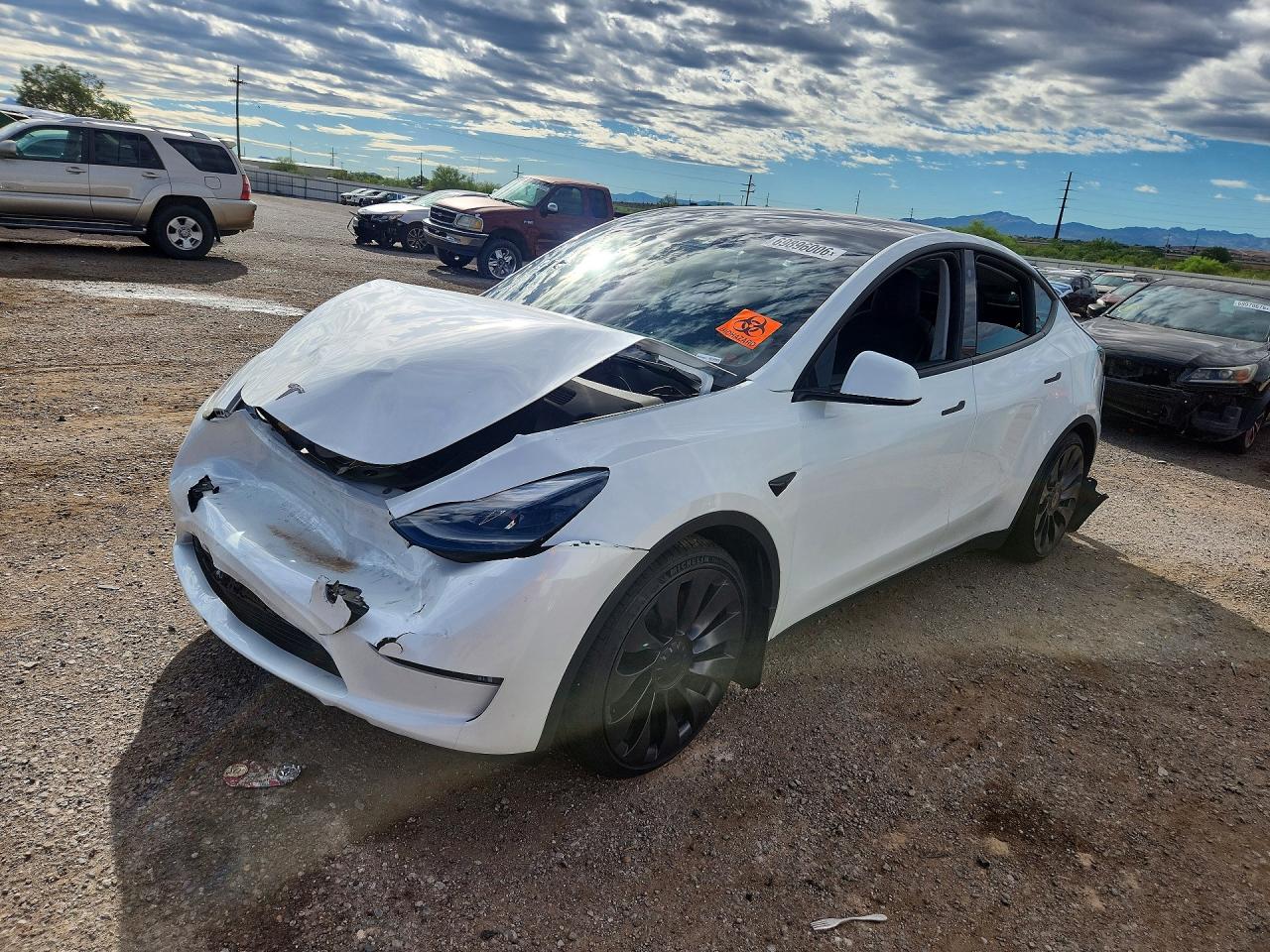 Photo of the 2023 TESLA MODEL Y