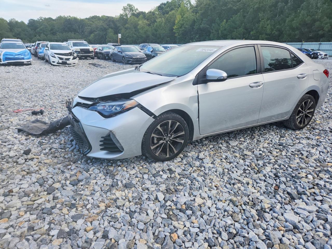 Photo of the 2019 TOYOTA COROLLA SE
