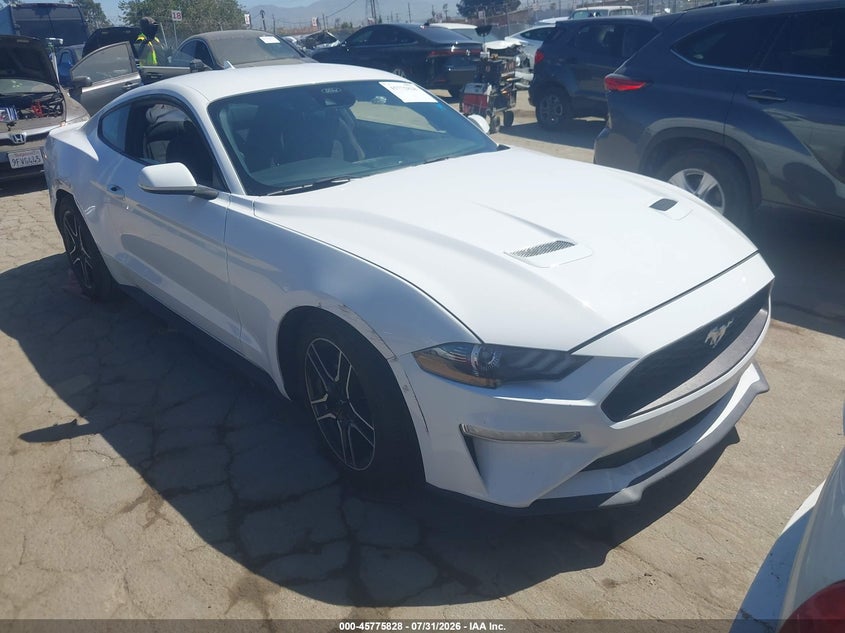 Photo of the 2022 FORD MUSTANG ECOBOOST FASTBACK