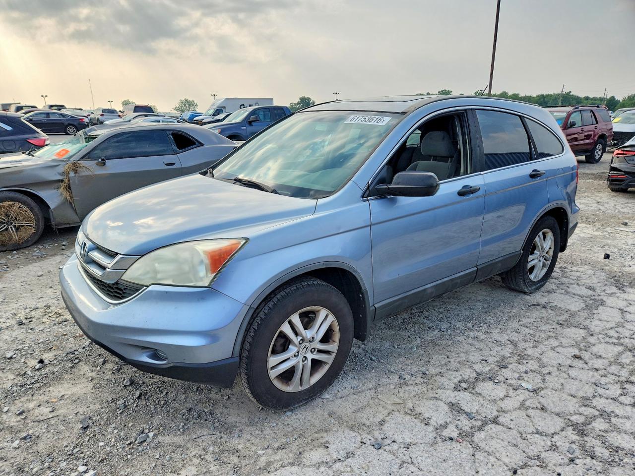Photo of the 2010 HONDA CR-V EX