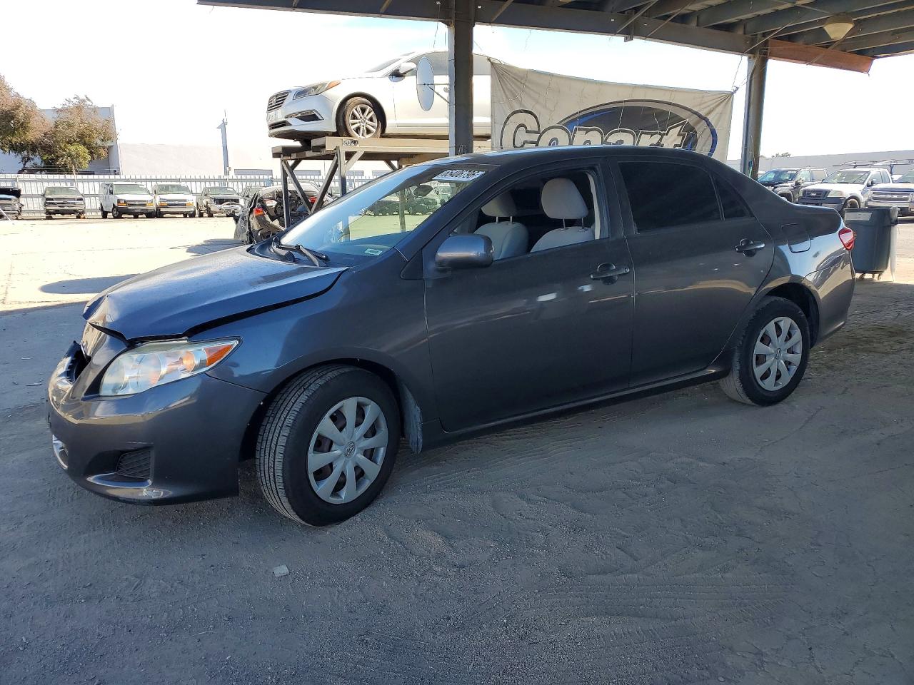 Photo of the 2010 TOYOTA COROLLA LE