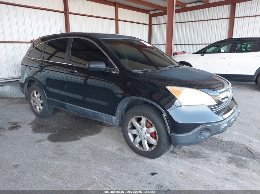 Photo of the 2009 HONDA CR-V EX