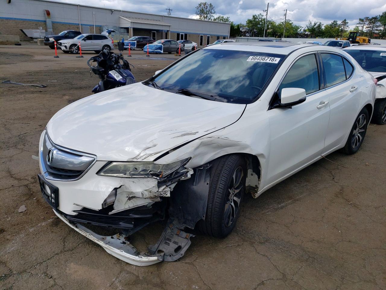 Photo of the 2015 ACURA TLX TECH