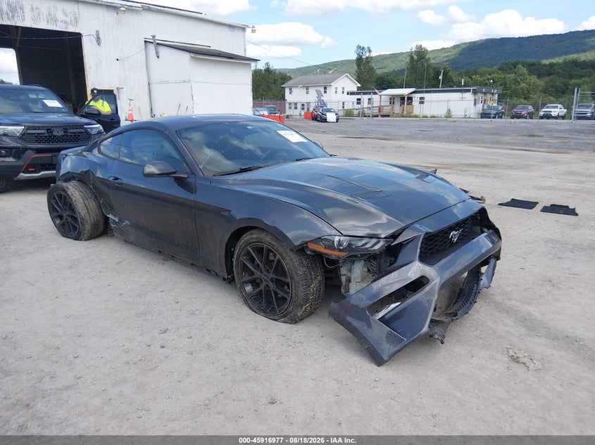 Photo of the 2019 FORD MUSTANG ECOBOOST