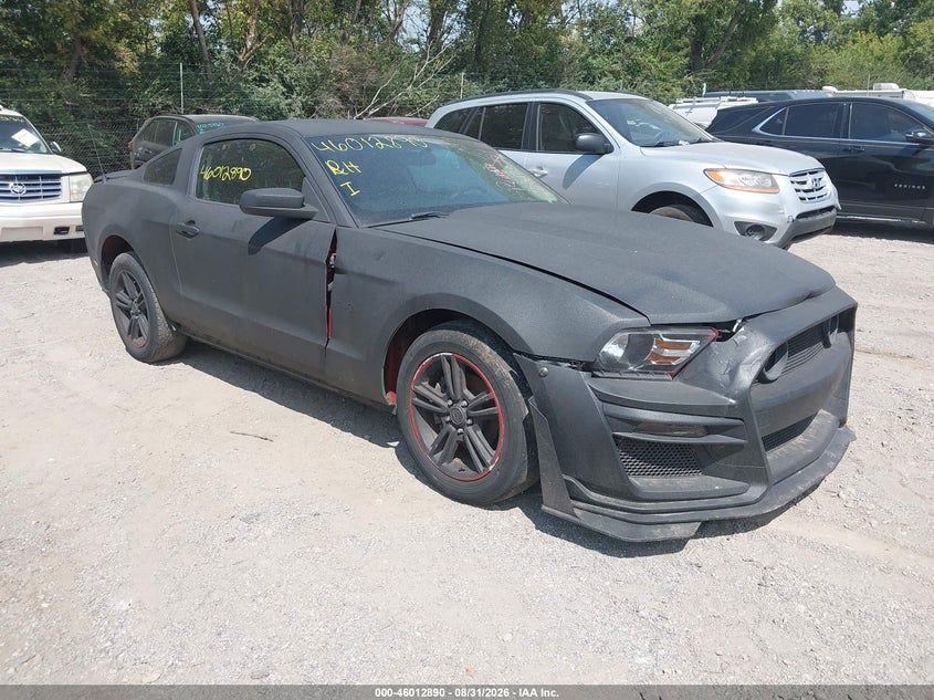 Photo of the 2010 FORD MUSTANG V6