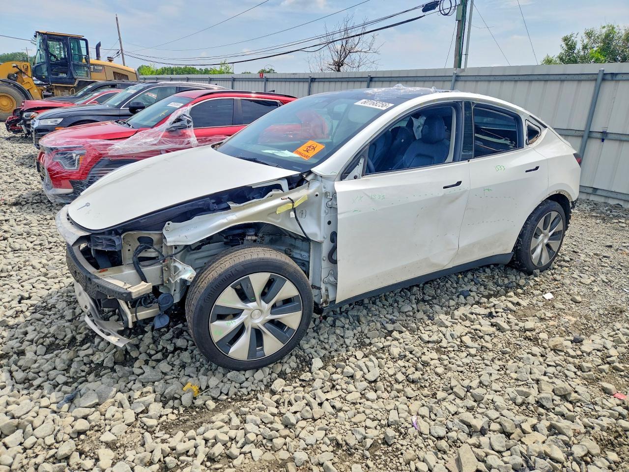 Photo of the 2021 TESLA MODEL Y