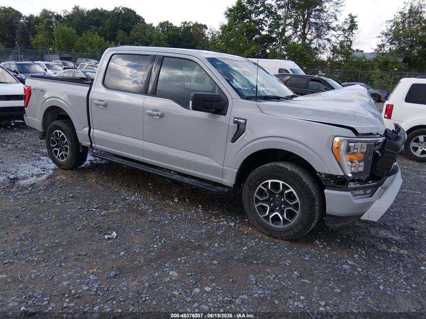 Photo of the 2023 FORD F-150 XLT
