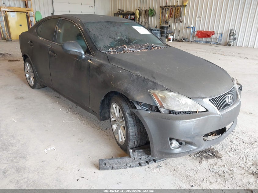 Photo of the 2010 LEXUS IS 250