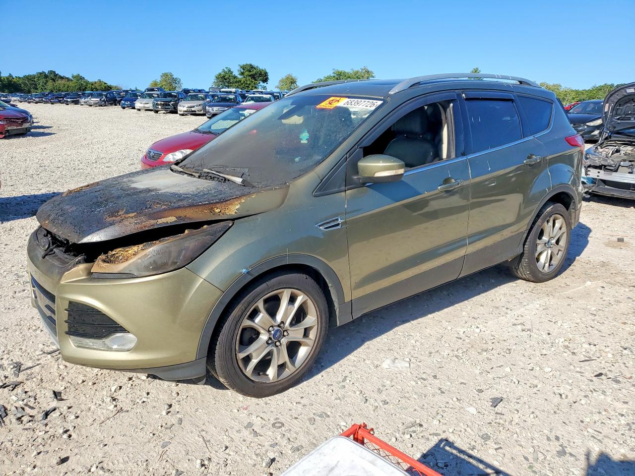 Photo of the 2014 FORD ESCAPE TITANIUM