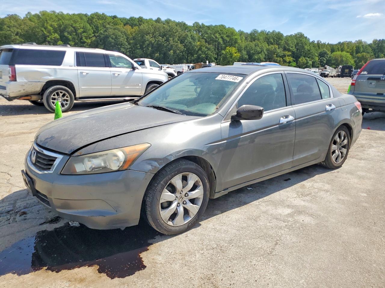 Photo of the 2010 HONDA ACCORD EXL