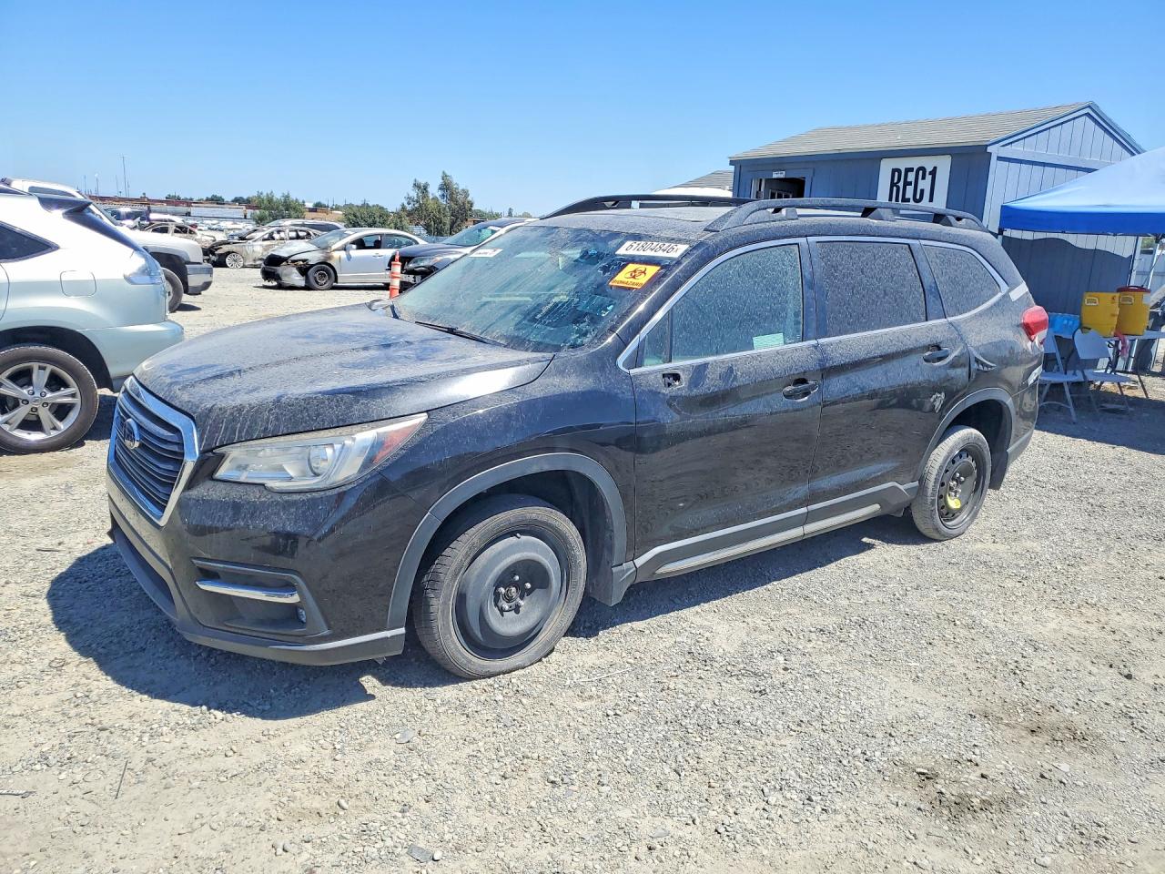 Photo of the 2019 SUBARU ASCENT LIMITED