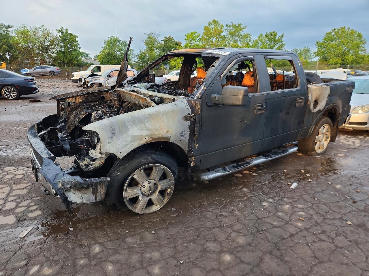 Photo of the 2008 FORD F150 SUPERCREW