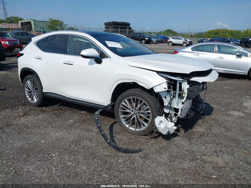 Photo of the 2024 LEXUS NX 350H LUXURY