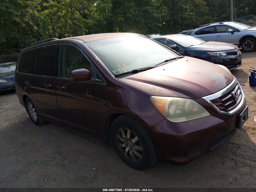 Photo of the 2010 HONDA ODYSSEY EX