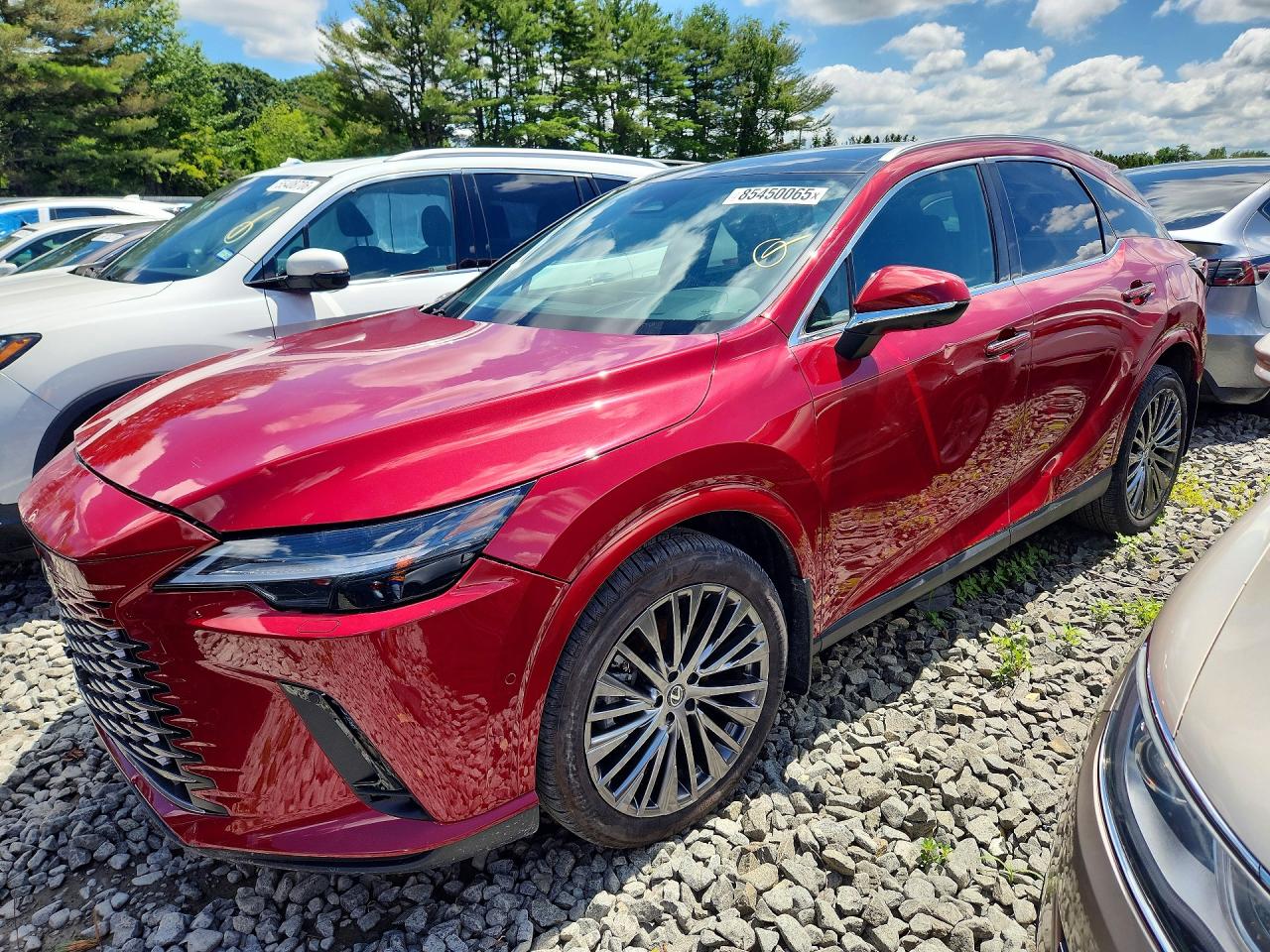 Photo of the 2024 LEXUS RX 350 LUXURY