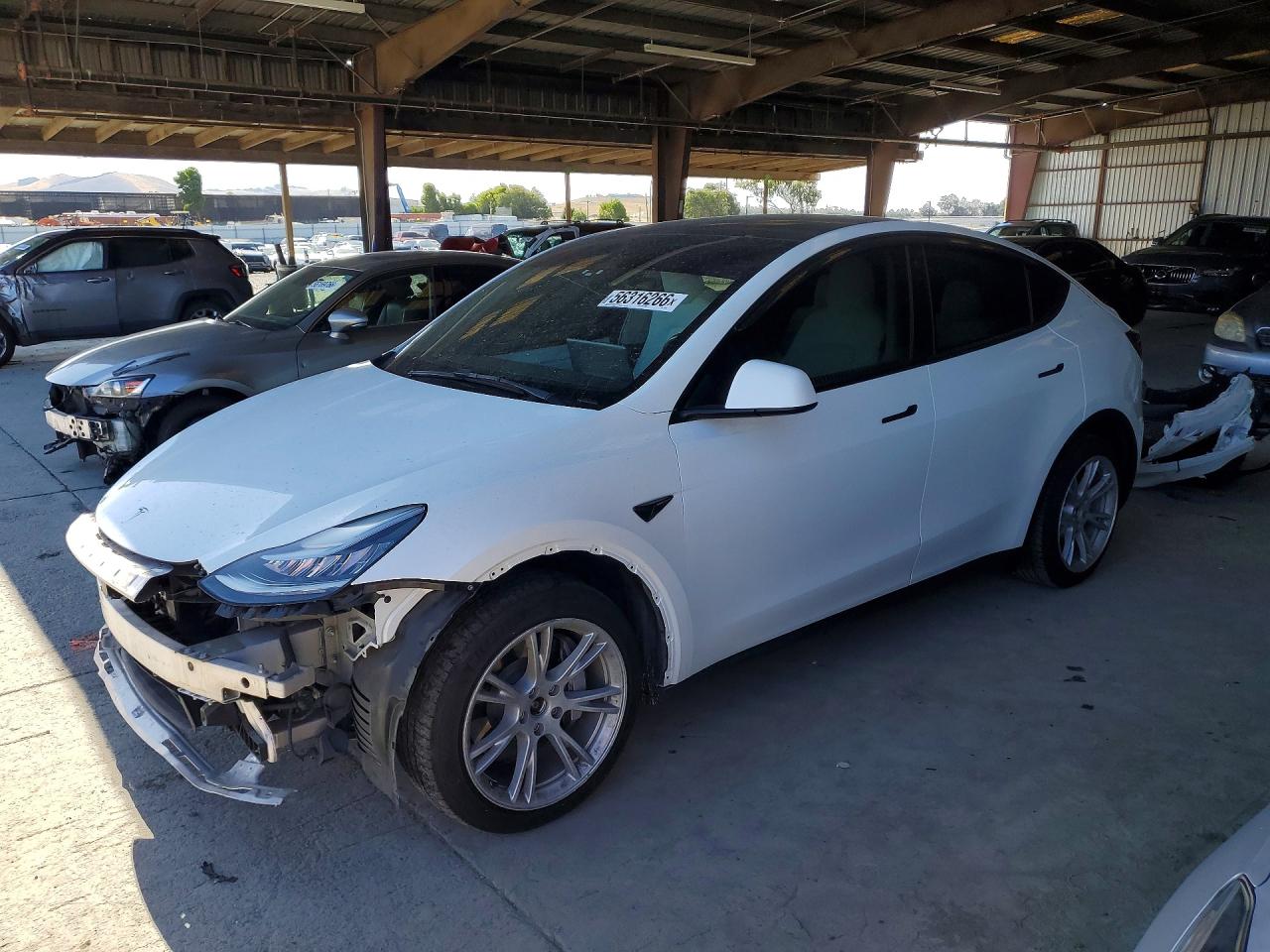Photo of the 2021 TESLA MODEL Y
