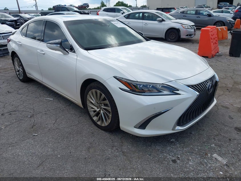 Photo of the 2019 LEXUS ES 300H ULTRA LUXURY