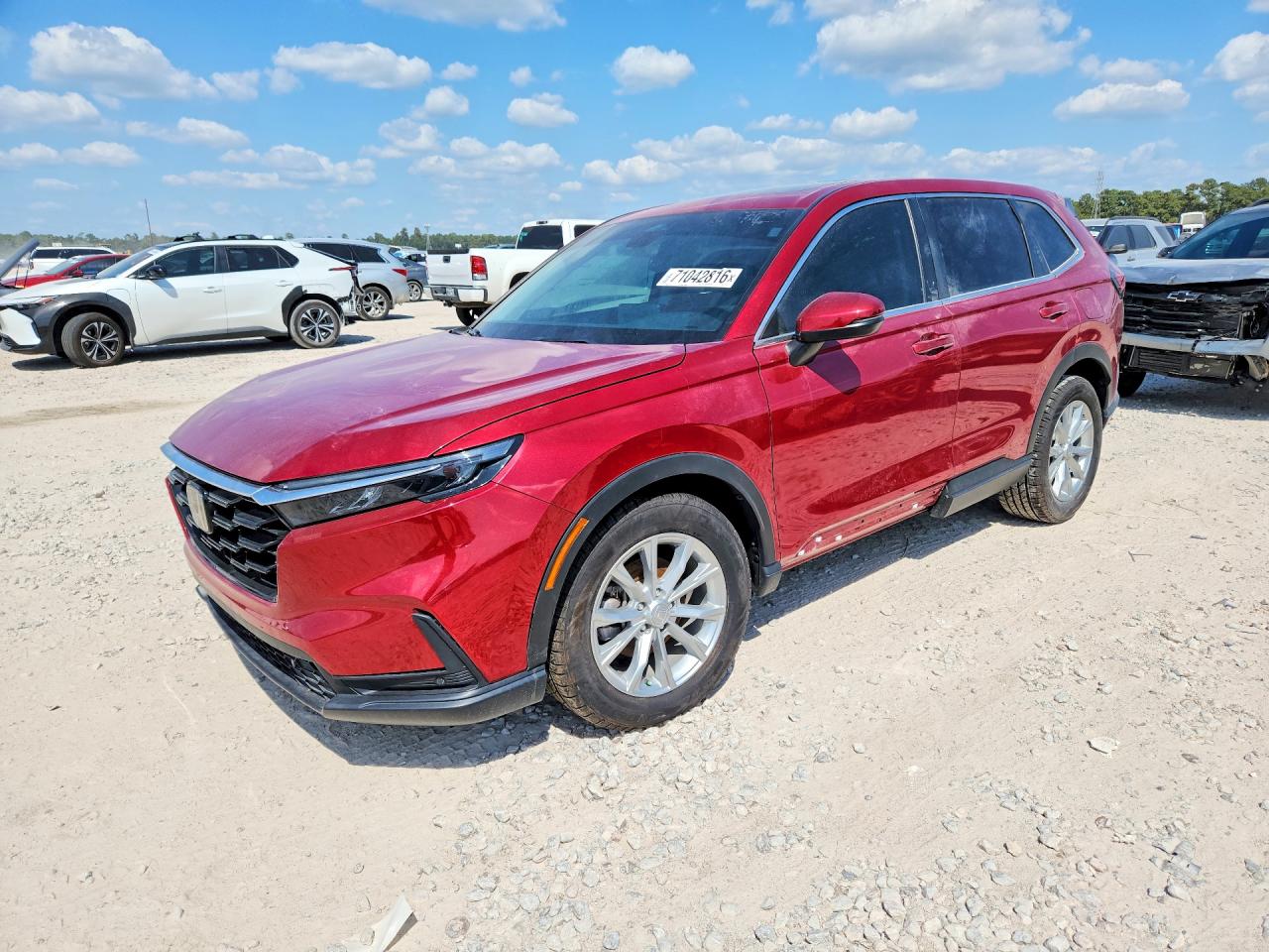 Photo of the 2025 HONDA CR-V EXL