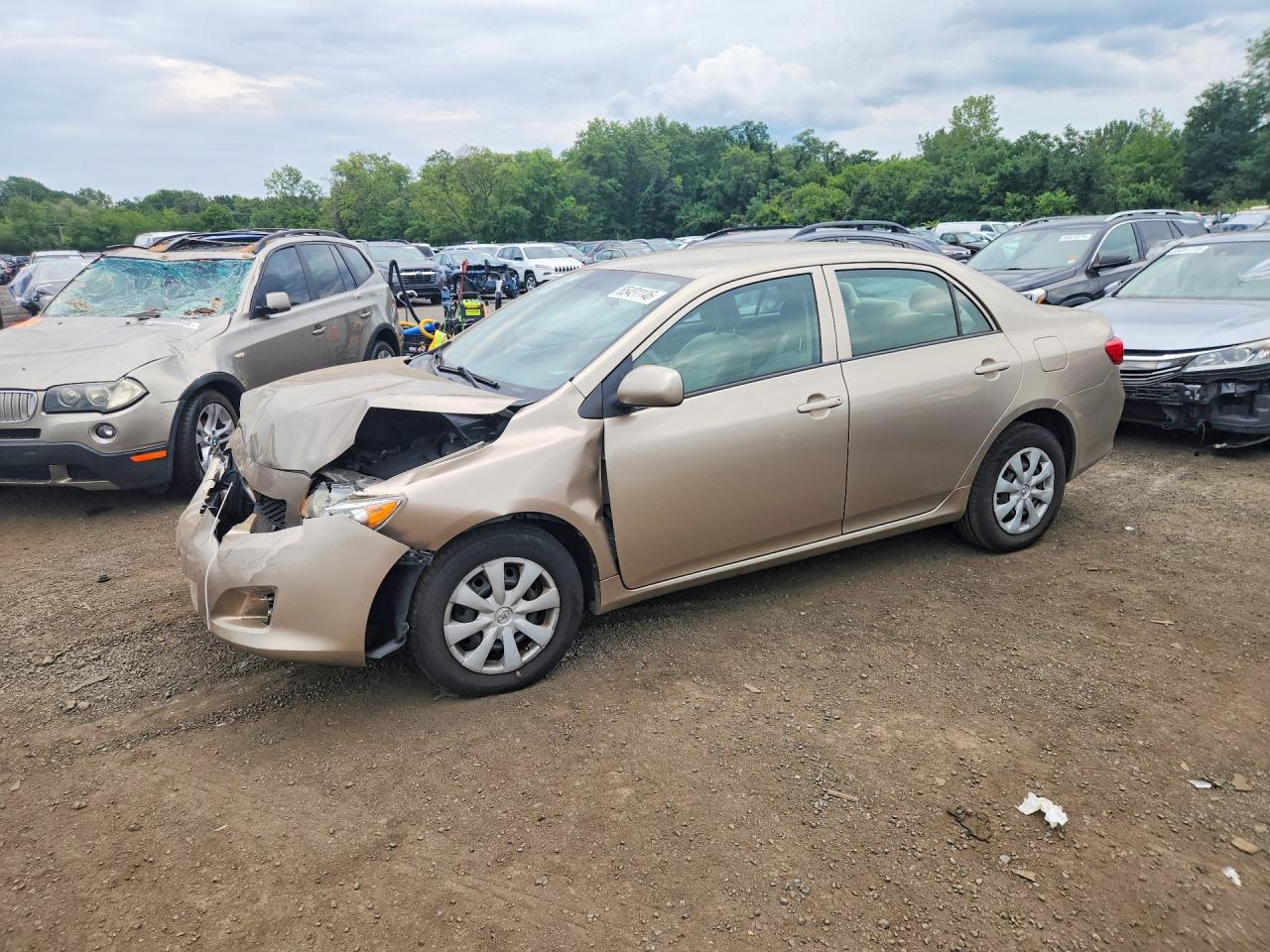 Photo of the 2009 TOYOTA COROLLA LE