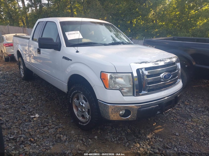 Photo of the 2011 FORD F-150 XLT