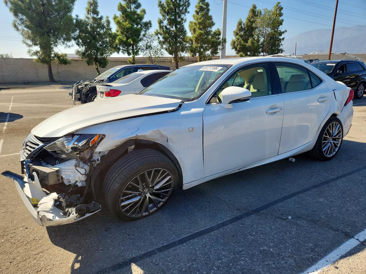 Photo of the 2015 LEXUS IS 250