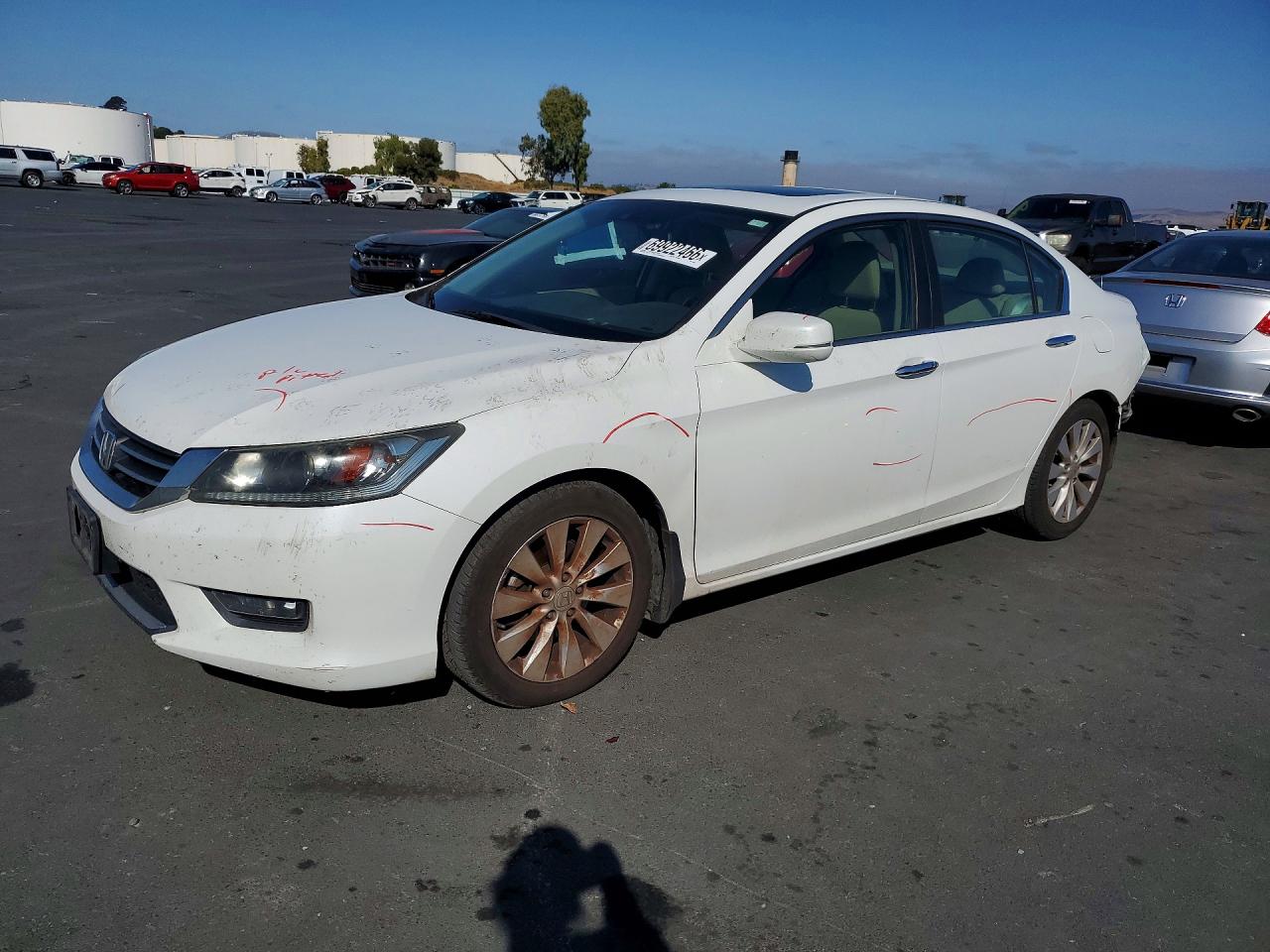 Photo of the 2014 HONDA ACCORD EXL