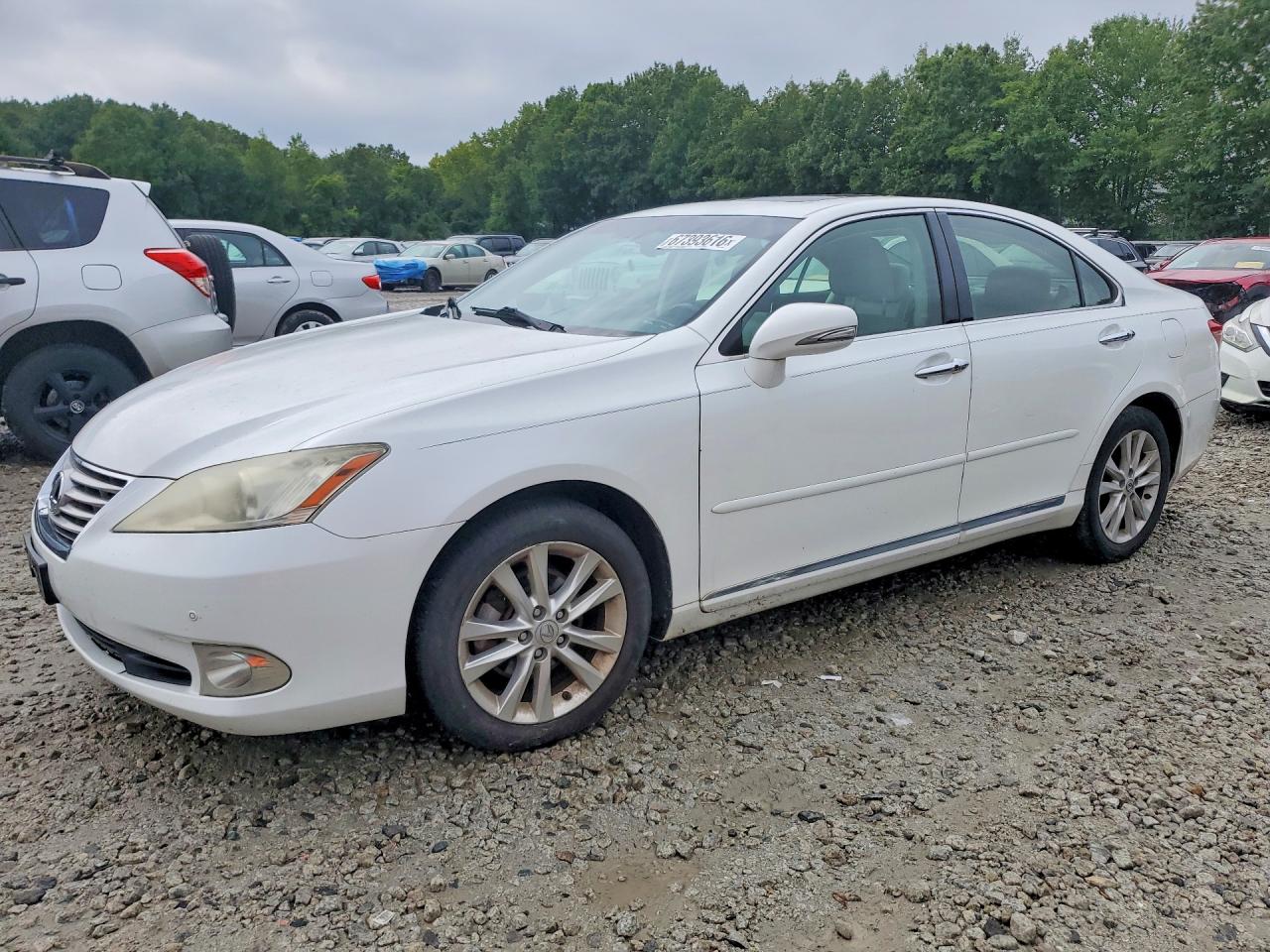 Photo of the 2011 LEXUS ES 350