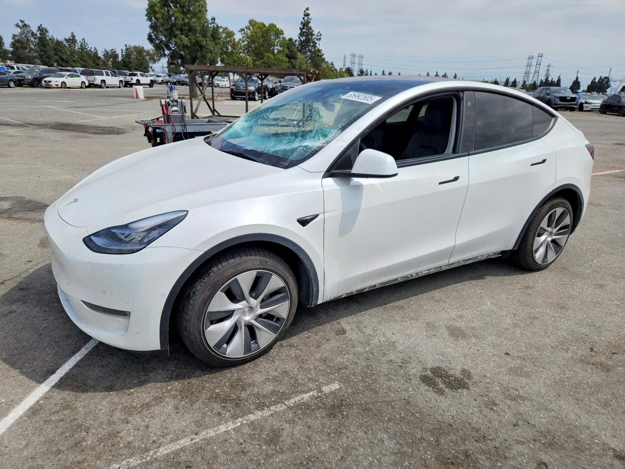 Photo of the 2022 TESLA MODEL Y