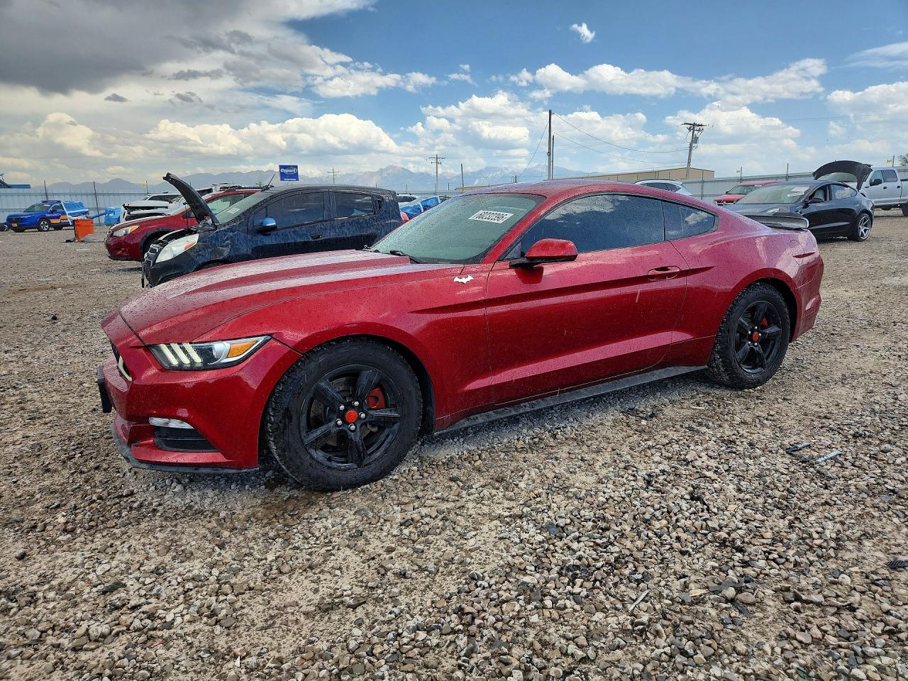 Photo of the 2017 FORD MUSTANG