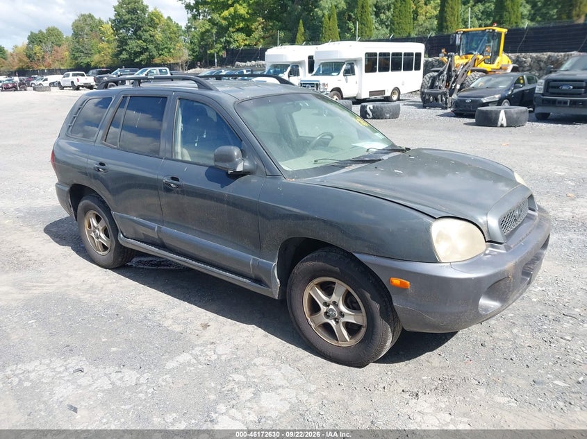 Photo of the 2004 HYUNDAI SANTA FE GLS