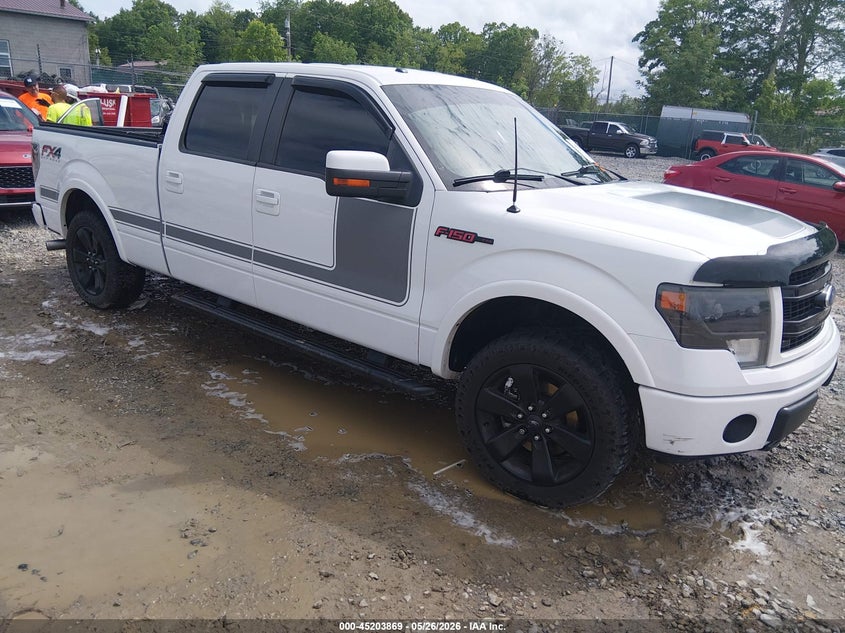 Photo of the 2013 FORD F-150 FX4