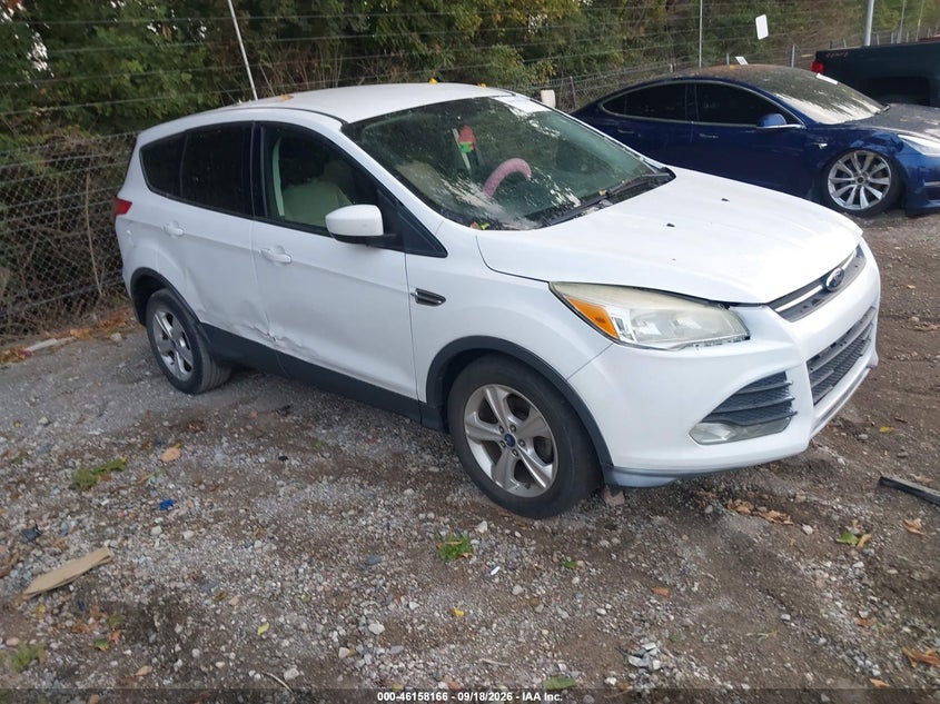 Photo of the 2014 FORD ESCAPE SE