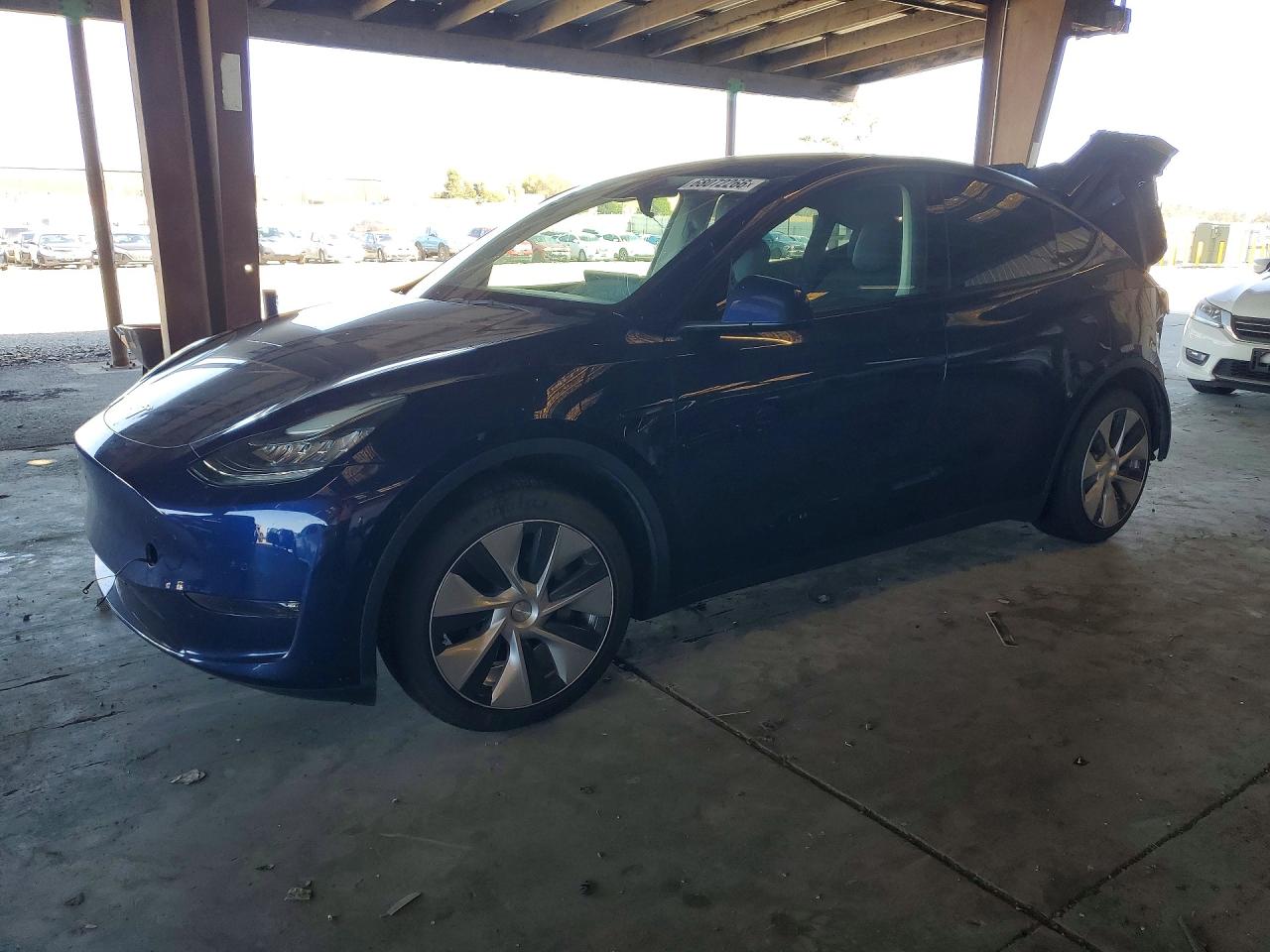 Photo of the 2022 TESLA MODEL Y