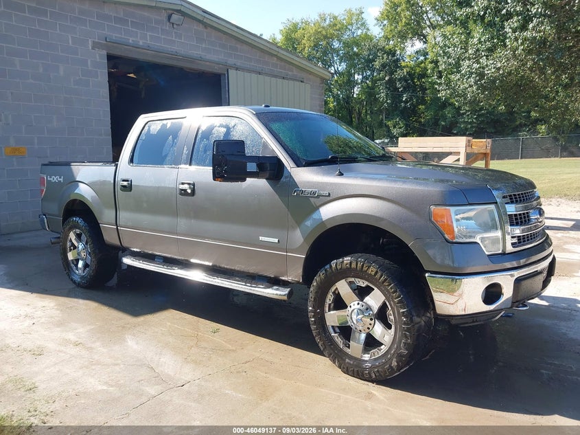 Photo of the 2013 FORD F-150 XLT
