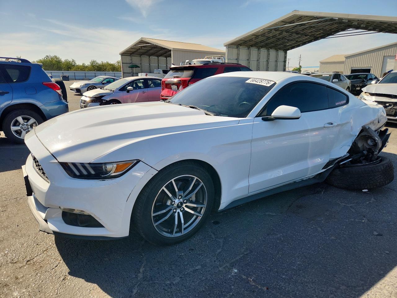 Photo of the 2017 FORD MUSTANG