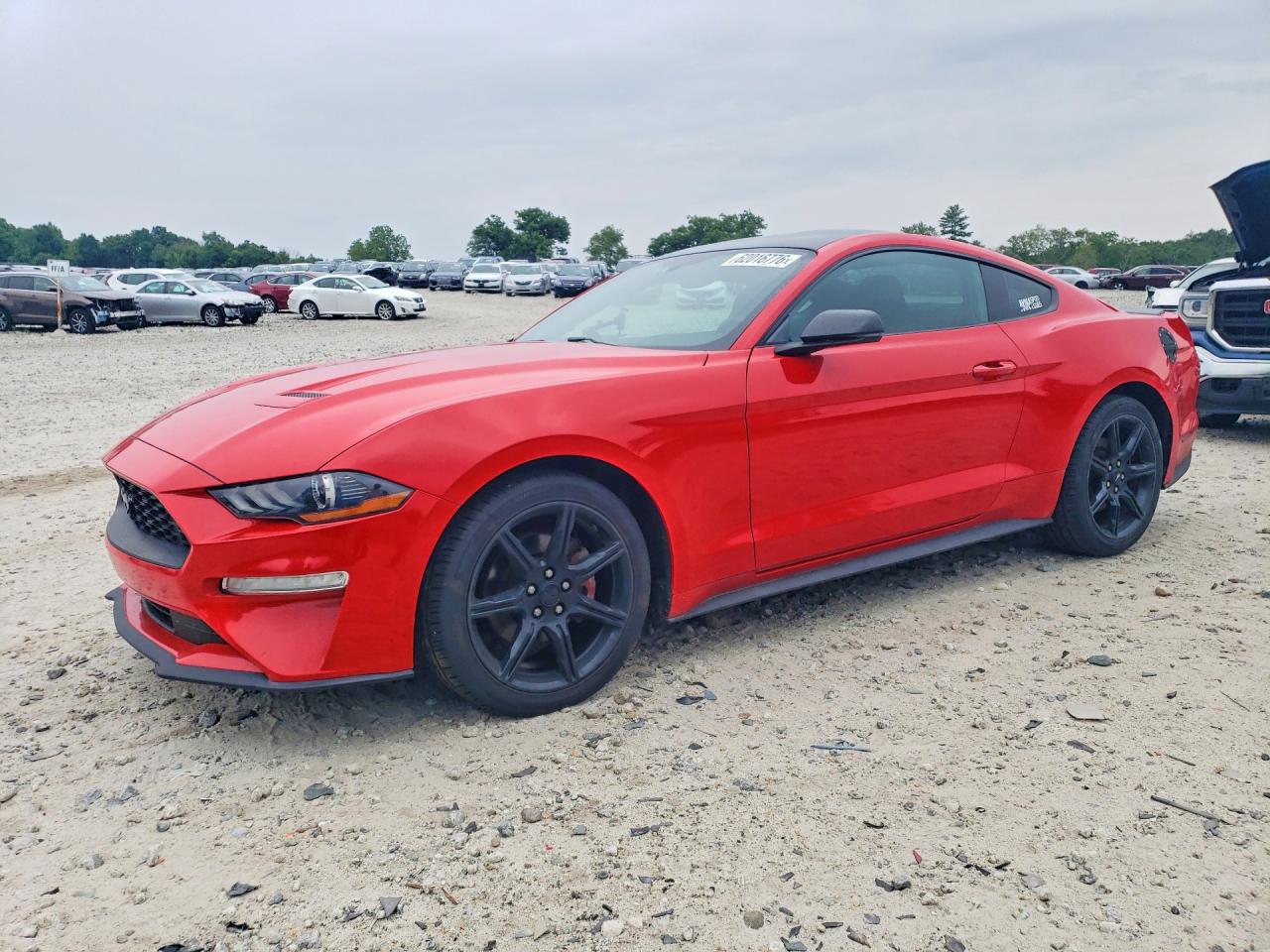 Photo of the 2018 FORD MUSTANG