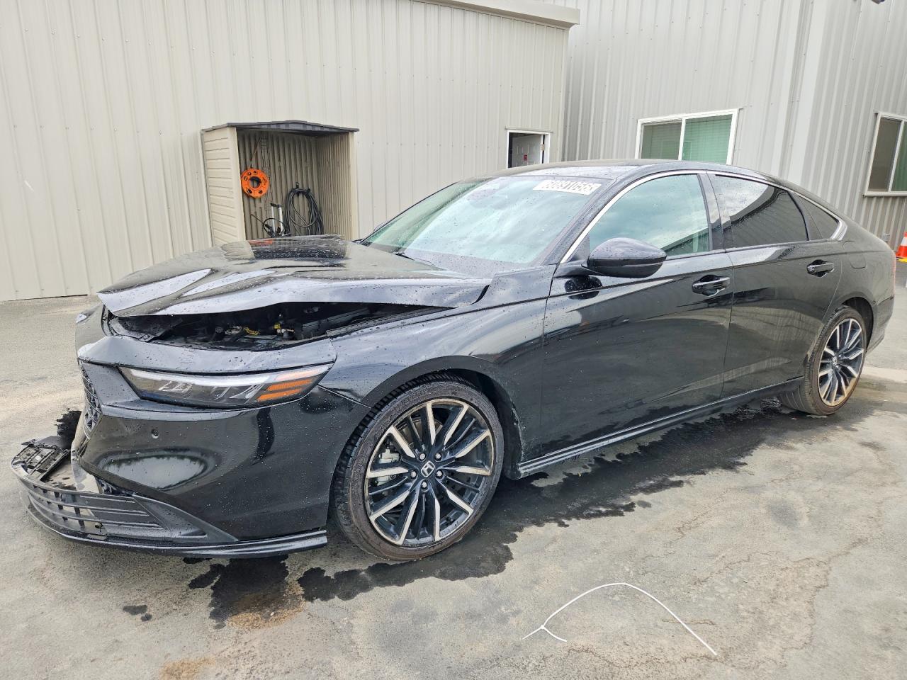 Photo of the 2025 HONDA ACCORD TOURING HYBRID