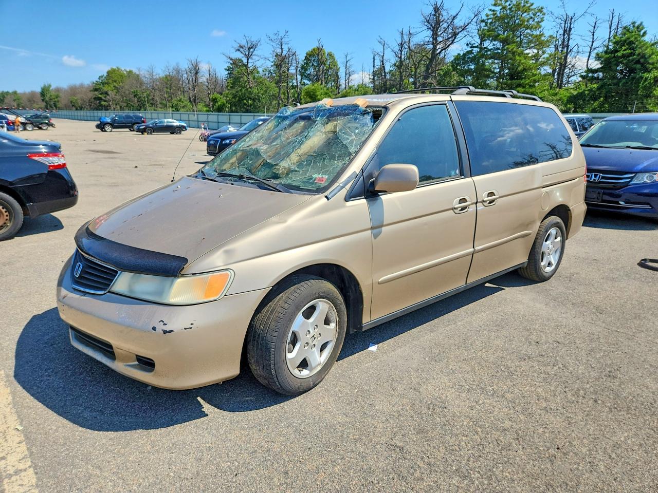 Photo of the 2001 HONDA ODYSSEY EX