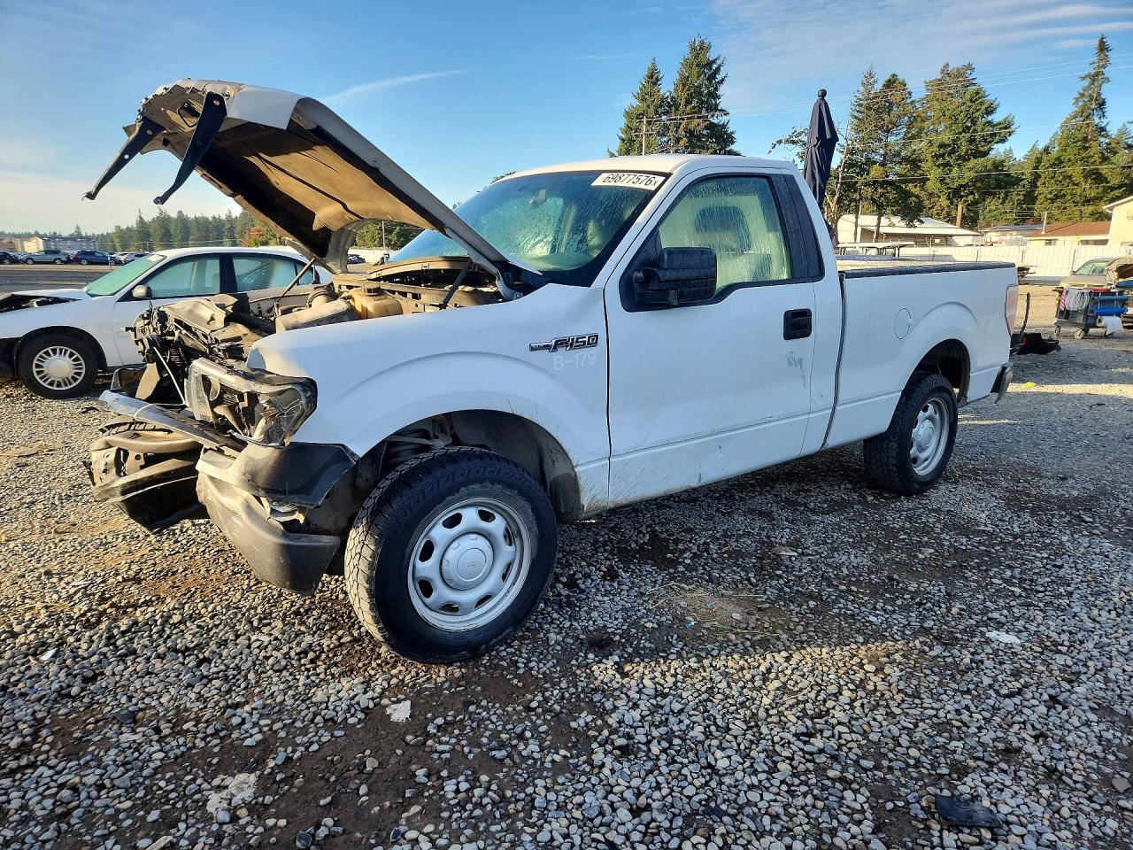 Photo of the 2013 FORD F150