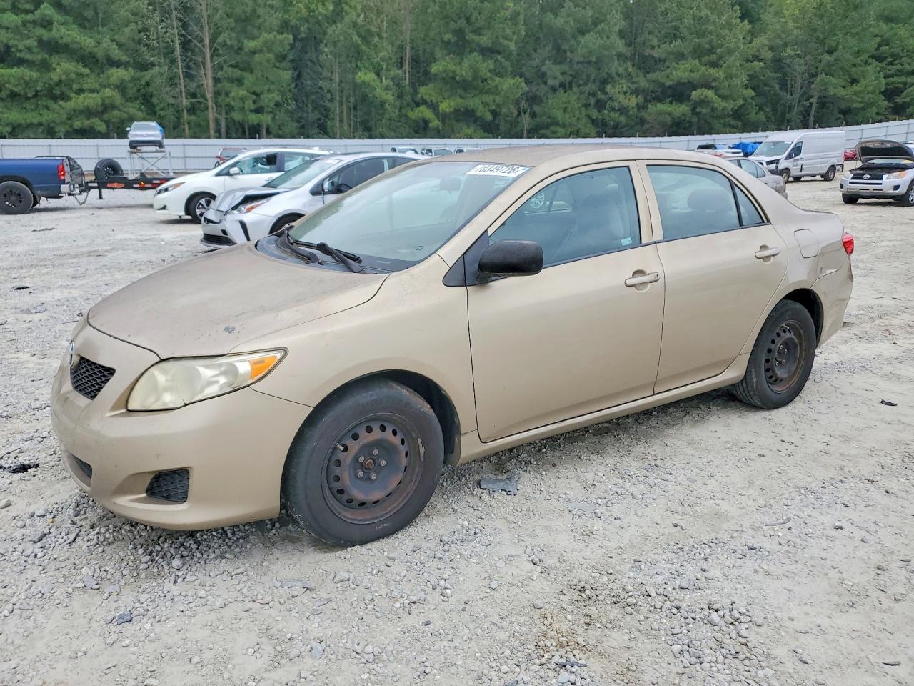Photo of the 2010 TOYOTA COROLLA BASE