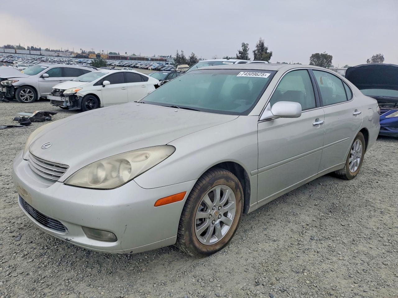 Photo of the 2004 LEXUS ES 330