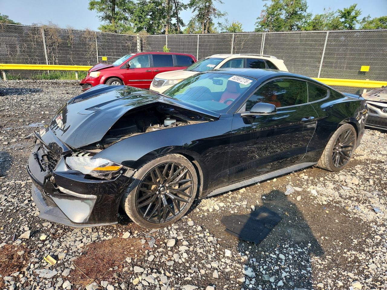 Photo of the 2019 FORD MUSTANG