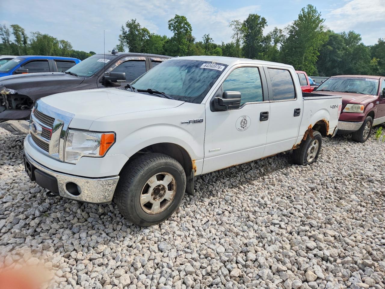 Photo of the 2013 FORD F150 SUPERCREW