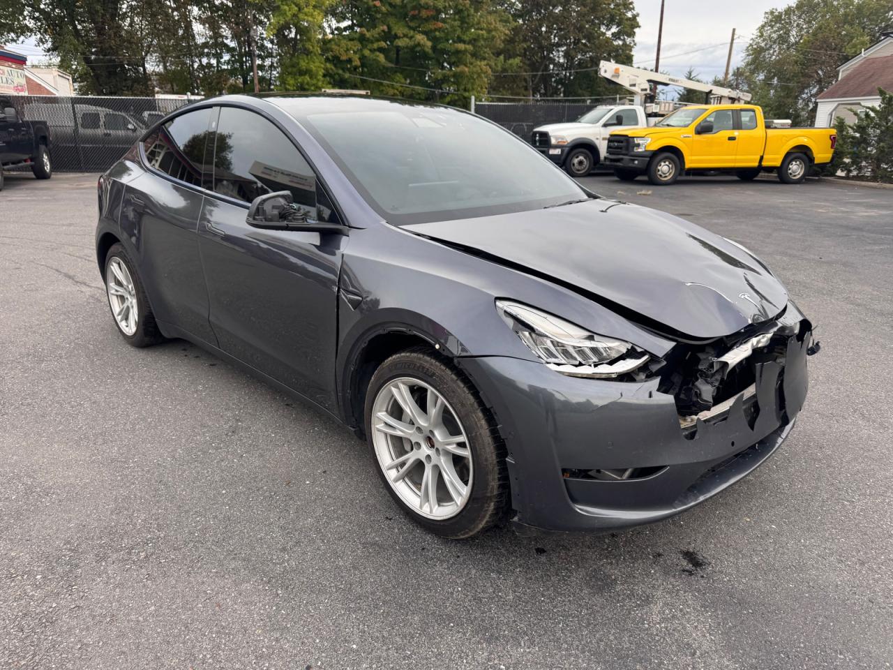 Photo of the 2021 TESLA MODEL Y